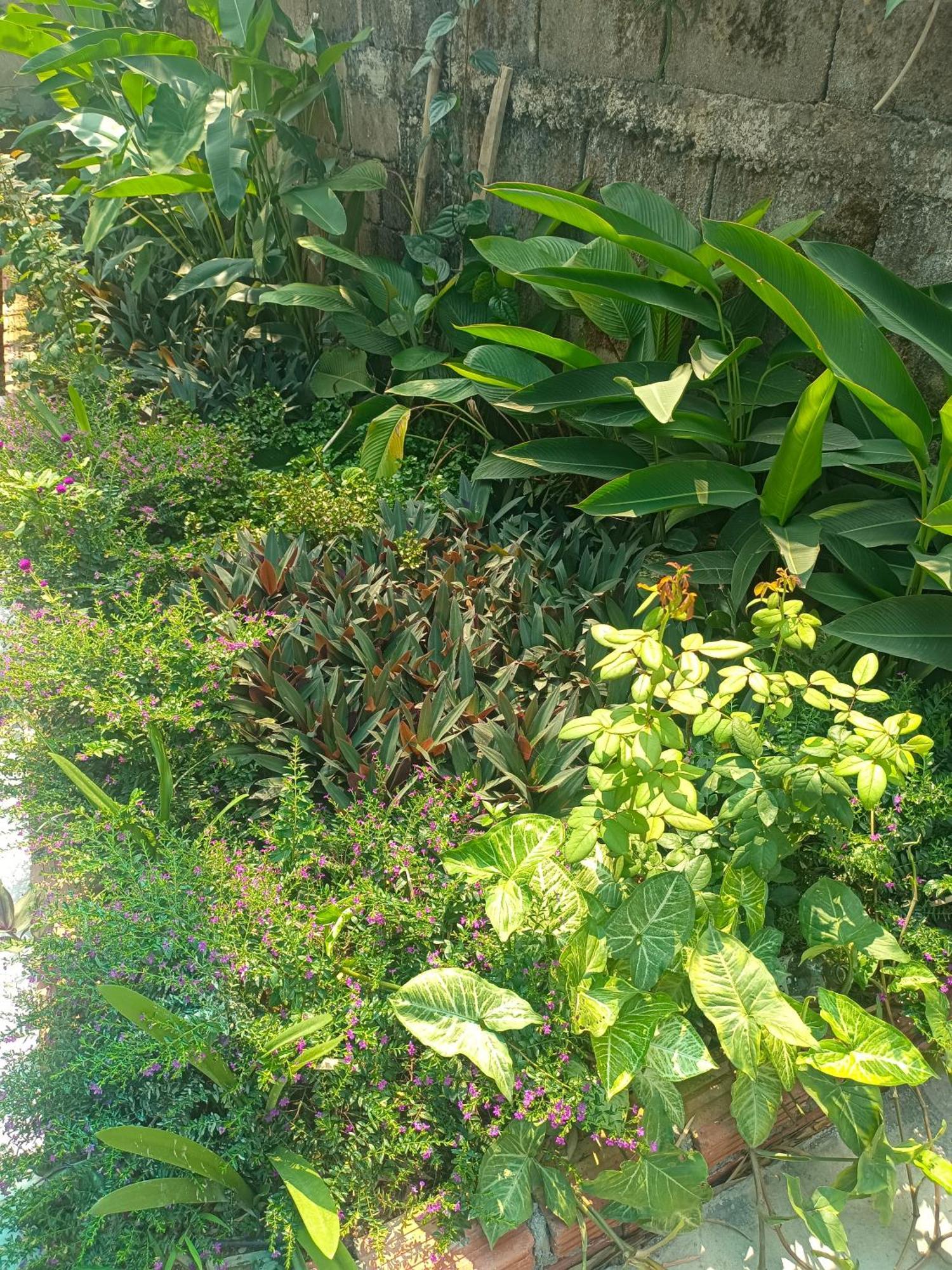 Dokchampa Hotel 万荣 外观 照片