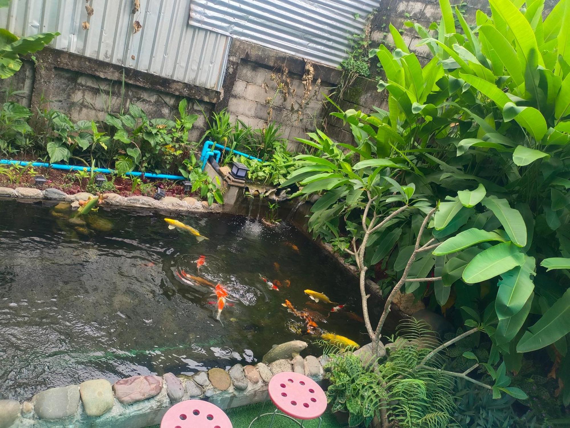 Dokchampa Hotel 万荣 外观 照片